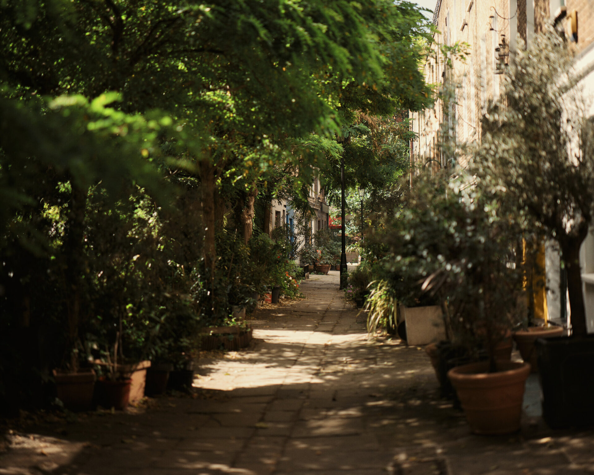 Fitzrovia near The Newman boutique hotel in London